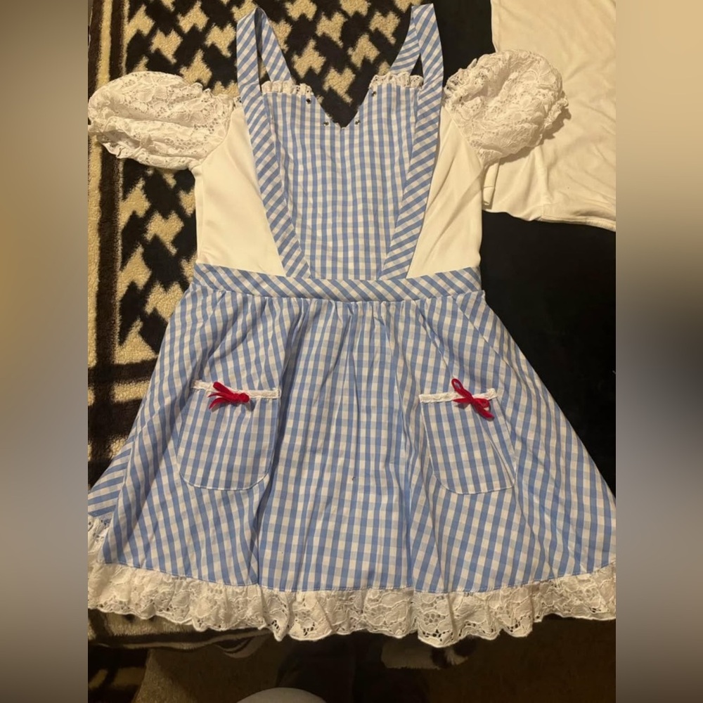 Dorothy Costume